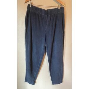 Patagonia Women's XL Blue Terry Lounge Pants Casual Jogger Elastic
Waist